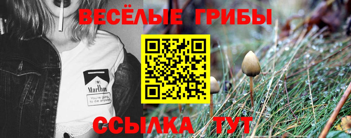 Псилоцибиновые грибы MAGIC MUSHROOMS Белорецк
