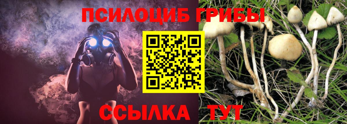 Белорецк  Галлюциногенные грибы Cubensis  Вход с VPN  Галлюциногенные грибы GOLDEN TEACHER 